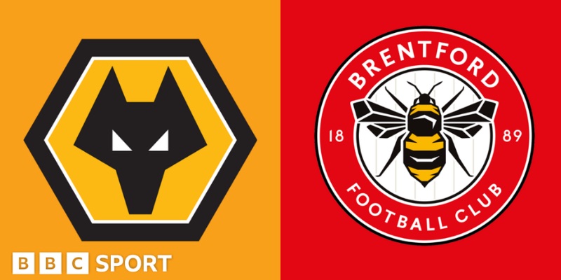 Wolverhampton Wanderers vs Brentford